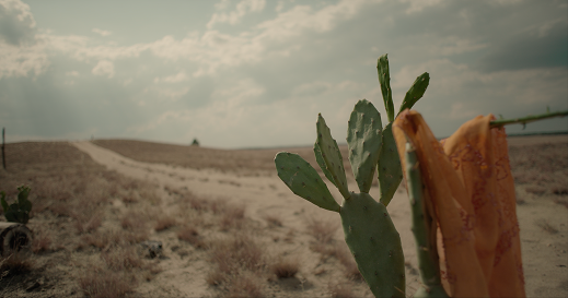 Opuntia still 6